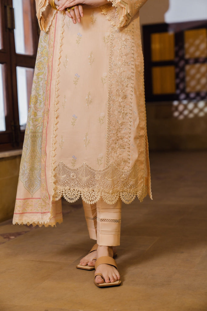 Kohlapuri | Campania - CHAPTER 13